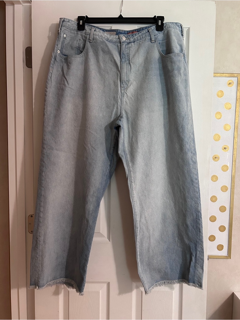 Anthropologie Pilcro Plus Size Raw Hem Wide Leg Jeans